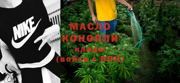 сатива Ростов
