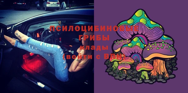 ешки Абаза