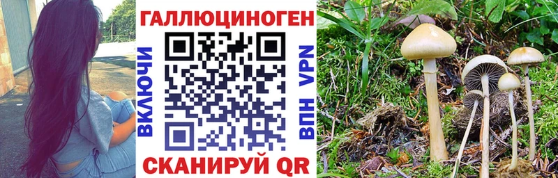 Галлюциногенные грибы мицелий  кракен tor  Белоусово 