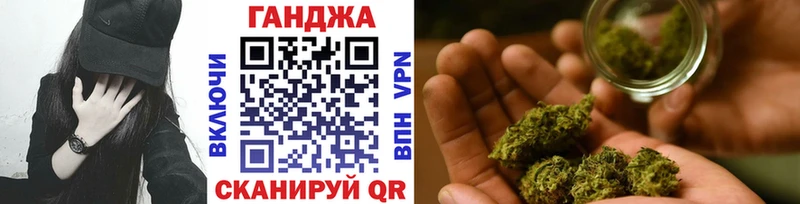 Конопля сатива  Белоусово 